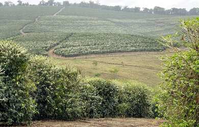 Imagem 9: Fazenda de 3.231 há Sul de Minas MG