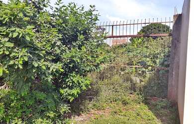 Imagem 2: Chácara no Vale Azul - Sarandi Pr