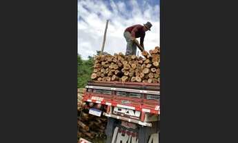 Imagem 1: VENDO ESTACAS SABIÁ , MOURÕES , ESTICADORES