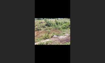 Imagem 4: Terreno de 2 há em Itaguara MG