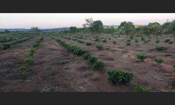 Imagem 3: Vendo Terreno de 5640m² em Barra do Choça