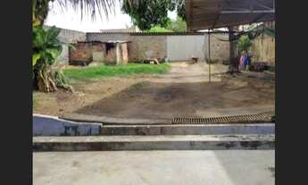 Imagem: Aluguel para Festa de Trindade - 2023