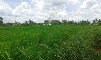 Imagem 3: Sitio a tranquilidade no campo