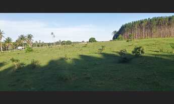 Imagem 5: Propriedade rural