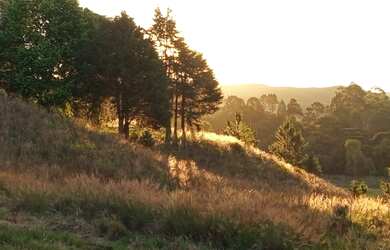 Imagem 5: PROPRIEDADE RURAL COM 24 HECTARES EM SAO FRABCISCO DE PAULA
