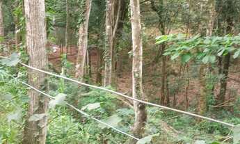 Imagem 3: VENDE-SE, SÍTIO, CONCEIÇÃO DE MACABU-RJ