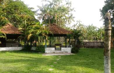 Imagem 3: VENDO SITIO BR 316 KM 20