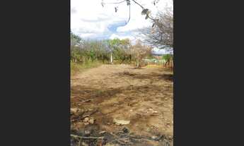 Imagem 3: TERRENO PALMEIRA DOS ÍNDIOS 7,5X16M