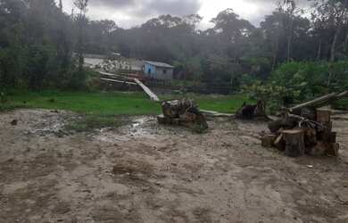 Imagem 7: Vendo Terreno com Casa, Balneário e Plantações de Açaí