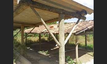 Imagem 4: Fazenda de 80 ha em Paraopeba