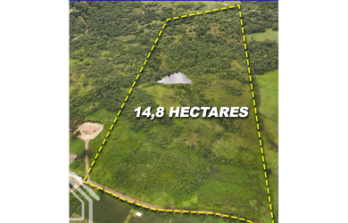 Imagem 3: OPORTUNIDADE ÚNICA: 46 HECTARES COMPLETOS COM RIO, AÇUDE E ÁGUA EM ABUNDÂNCIA NA SERRA