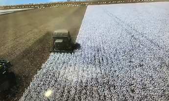 Imagem 6: HIPER FAZENDA NA BAHIA