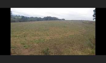 Imagem 3: Chacra pra plantio limpa sem casa 1.5 alqueire troco por cada ou carros