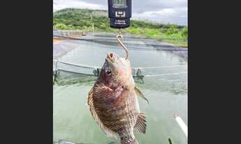 Imagem 3: Fazenda de 107 há em Oliveira MG