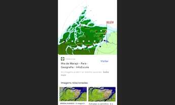 Imagem 5: Fazenda 12 mil hectares em Marajó pra lavoura de arroz por R$ 8 milhões