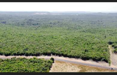 Imagem 3: Terreno 20 ha em Altos
