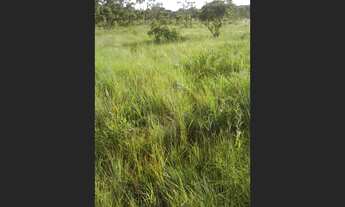 Imagem 5: Fazenda em Paranatinga -MT