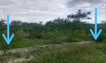 Imagem 6: Terreno Urbano em Simão Dias, Sergipe