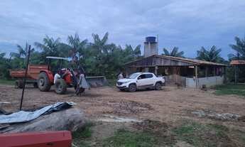 Imagem: Terreno a Venda no Acará-PA com Trator