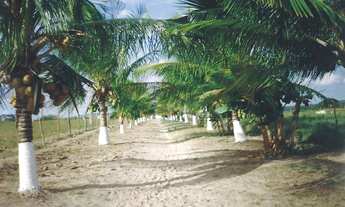 Imagem 4: Terreno - área rural em RIO REAL (BA