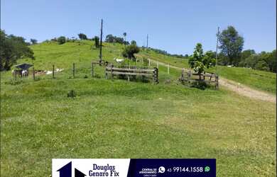 Imagem 7: Oportunidade Única! Sítio à Venda em Laranjal - PR ????????????