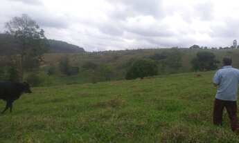 Imagem 2: Terreno de 10 ha em Oliveira