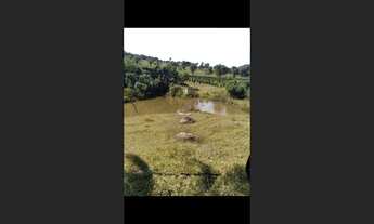 Imagem 2: Fazenda de 174 há em Cláudio MG