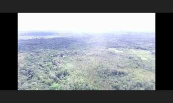 Imagem 4: Fazenda com 112,5 hectares em Colares 80% aberta por R$600 mil