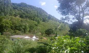 Imagem 3: Sitio de 18 hectares localizado em Pancas/ES situado a 9 km da cidade - Parcelas anuais