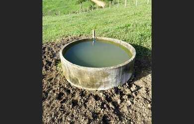 Imagem 2: Fazendas e sítios