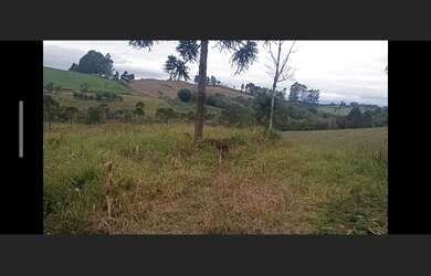 Imagem 2: Chacra pra plantio limpa sem casa 1.5 alqueire troco por cada ou carros