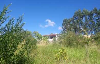 Imagem 4: CAETANOPOLIS.31 996663416 lizete maciel