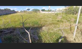 Imagem 4: VENDO TERRENO AREA INDUSTRIAL ARARAQUARA-SP