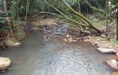 Imagem 5: LINDA CHÁCARA EM SANTA MARIA DO HERVAL