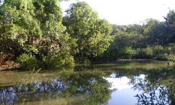 Imagem 3: Chacara rio uru itaberai