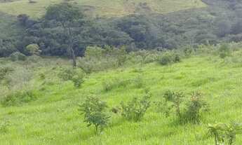 Imagem 7: Fazenda de 130 há em Congonhas do Norte MG