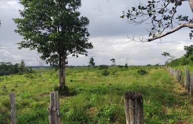 Imagem 13: R$ 5 milhões fazenda de 200 alqueires com 154 alqueires de pasto