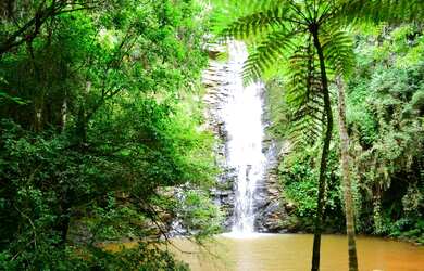 Imagem 3: Vendo lindo sítio de 120.000 mts em São Thomé das letras