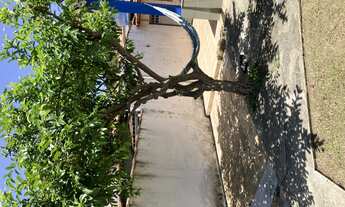 Imagem 6: Casa com piscina em Vassouras