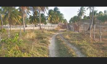Imagem 6: Terreno 10.000 metros quadrado no Distrito de Aranaú