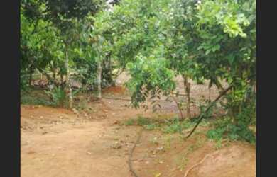 Imagem 2: Vende se sitio Fazenda / sítio com 2 dormitórios