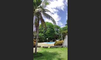 Imagem 4: Sitio 3 ha – localidade São Feliz, Teresina-Pi