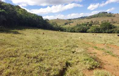 Imagem 4: Excelente Sítio - 4.9 Hectares