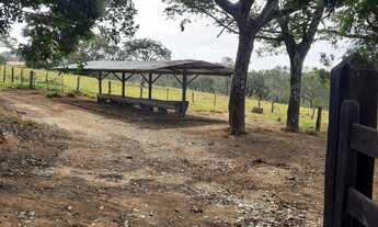 Imagem 10: Fazenda de 60 ha em Itapecerica MG