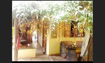 Imagem 3: LINDA CHÁCARA PRÓXIMO A TIMÓTEO