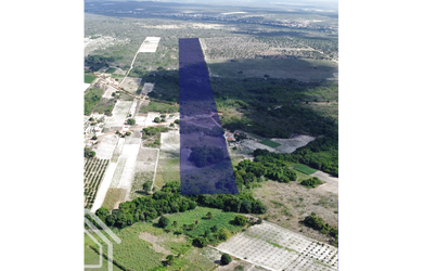 Imagem 3: PROPRIEDADE DE 20 HECTARES EM SÃO BENEDITO - SÍTIO CAMOCIM NO INHUÇU