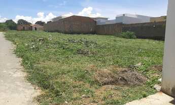 Imagem 2: Imperdível Lote Parque das Palmeiras - São Francisco