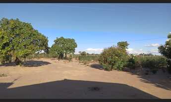 Imagem 5: Vende- se Fazenda / sítio com venda por R$60.000