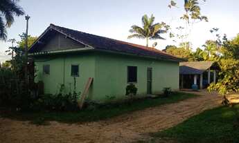 Imagem 6: Sitio produtivo Fazenda / sítio com venda por R$500.000