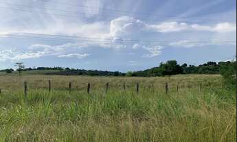 Imagem 5: Fazenda em Conceição do Jacuipe